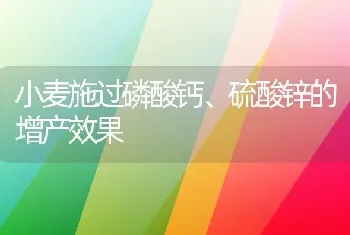 小麦施过磷酸钙、硫酸锌的增产效果