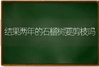 结果两年的石榴树要剪枝吗