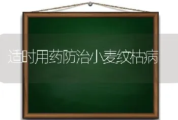 适时用药防治小麦纹枯病