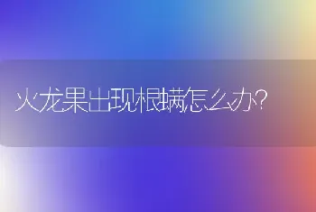 火龙果出现根螨怎么办?