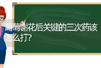 西红柿谢花不落花是什么原因?