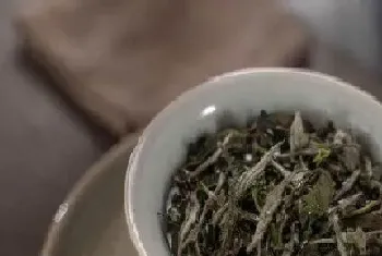 寿眉茶属于什么茶?