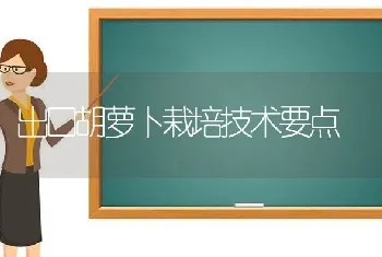 出口胡萝卜栽培技术要点