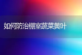 棚室蔬菜整枝打杈要注意什么?