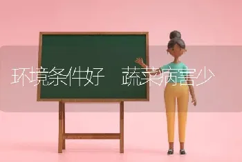 环境条件好 蔬菜病害少