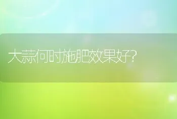 大蒜何时施肥效果好?