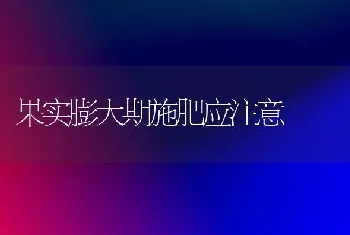 果实膨大期施肥应注意