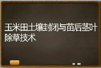 玉米田土壤封闭与苗后茎叶除草技术