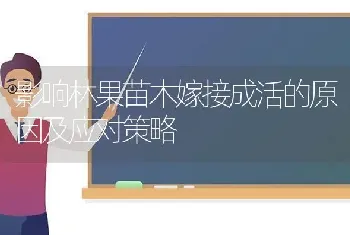 影响林果苗木嫁接成活的原因及应对策略