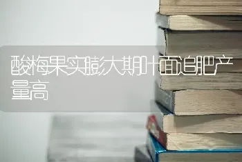 酸梅果实膨大期叶面追肥产量高