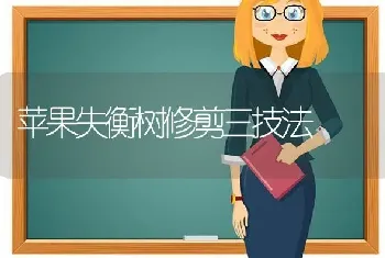 苹果失衡树修剪三技法