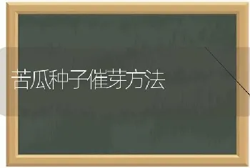 苦瓜种子催芽方法