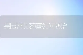 果园常见药害如何防治