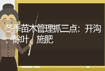 冬季苗木管理抓三点：开沟、除叶、施肥