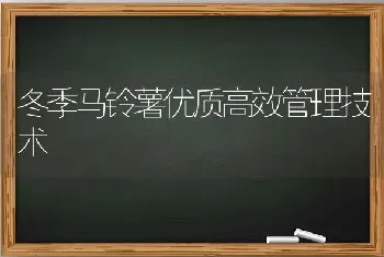 冬季马铃薯优质高效管理技术