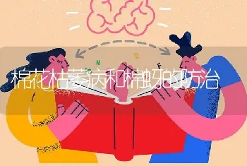 棉花枯萎病和棉蚜的防治