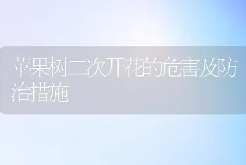 苹果树二次开花的危害及防治措施