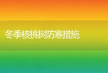 冬季核桃树防寒措施