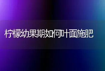 柠檬幼果期如何叶面施肥