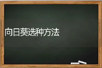 向日葵选种方法