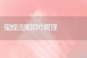 春季大棚黄瓜巧管理