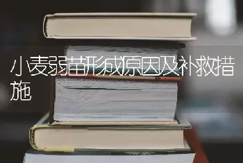 小麦弱苗形成原因及补救措施