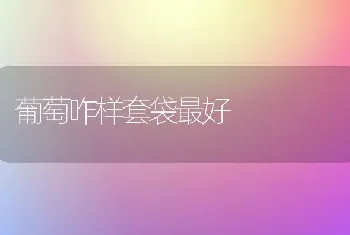 葡萄咋样套袋最好