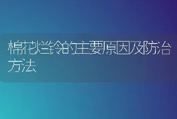 棉花烂铃的主要原因及防治方法