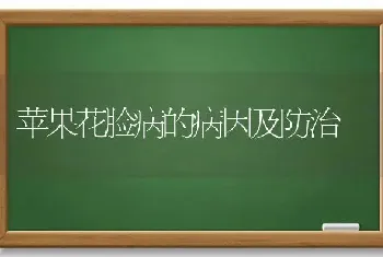 苹果花脸病的病因及防治