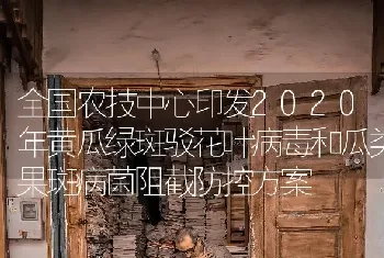 全国农技中心印发2020年黄瓜绿斑驳花叶病毒和瓜类果斑病菌阻截防控方案