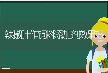 辣椒叶作饲料添加剂效果好