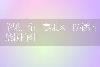 苹果、梨、枣果区 防锈病禁栽柏树