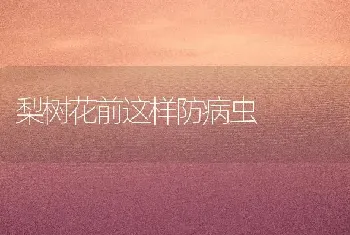 梨树花前这样防病虫