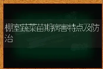 棚室蔬菜苗期病害特点及防治