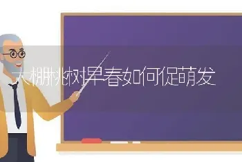 大棚桃树早春如何促萌发