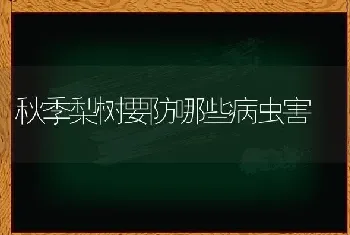 秋季梨树要防哪些病虫害