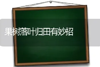 果树落叶归田有妙招