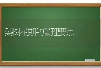 梨树花期的管理要点