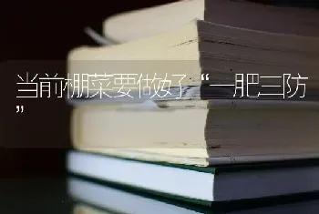 当前棚菜要做好“一肥三防”