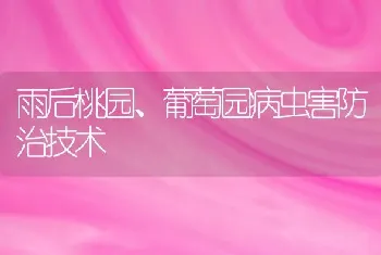 雨后桃园、葡萄园病虫害防治技术