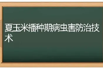 夏玉米播种期病虫害防治技术