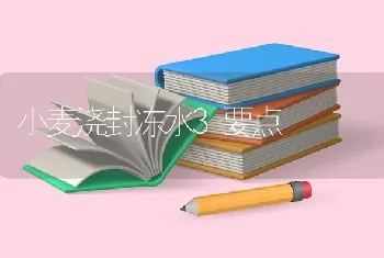 小麦浇封冻水3要点