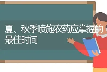 夏、秋季喷施农药应掌握的最佳时间