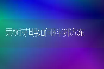 果树芽期如何科学防冻