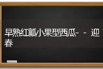 早熟红瓤小果型西瓜--迎春