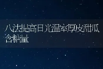 八法提高日光温室厚皮甜瓜含糖量