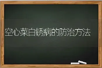 空心菜白锈病的防治方法