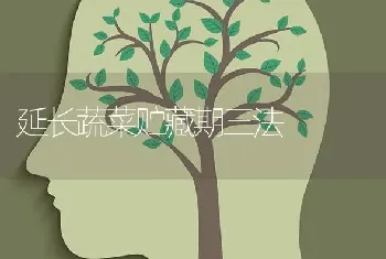 延长蔬菜贮藏期三法