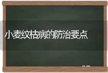 小麦纹枯病的防治要点