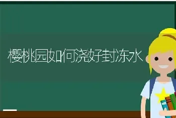 樱桃园如何浇好封冻水